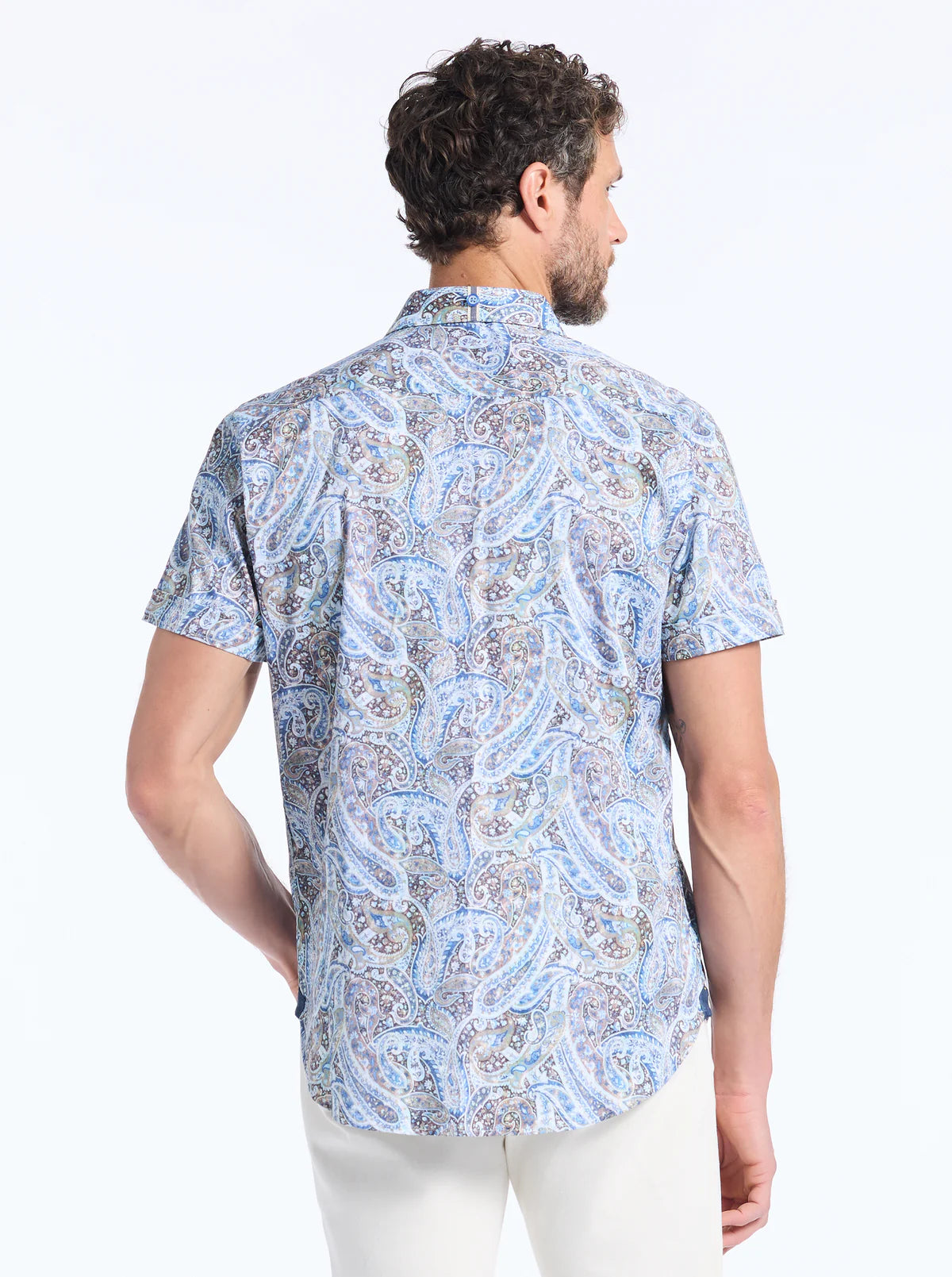 Robert Graham Melrose - Multi